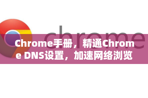 Chrome手册，精通Chrome DNS设置，加速网络浏览