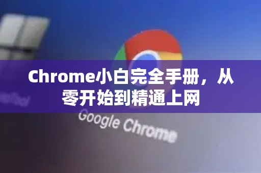 Chrome小白完全手册，从零开始到精通上网