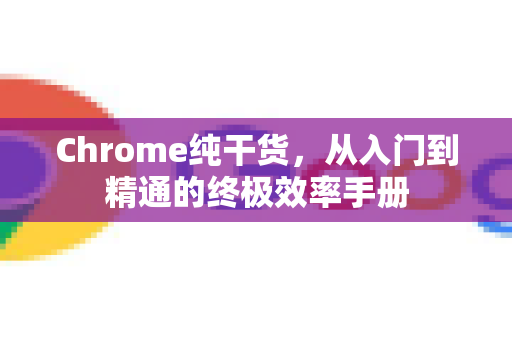 Chrome纯干货，从入门到精通的终极效率手册