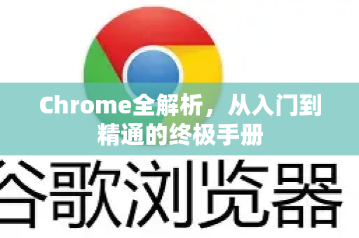 Chrome全解析，从入门到精通的终极手册