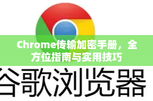 Chrome传输加密手册，全方位指南与实用技巧