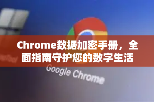 Chrome数据加密手册，全面指南守护您的数字生活
