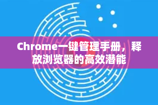 Chrome一键管理手册，释放浏览器的高效潜能