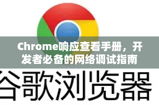 Chrome响应查看手册，开发者必备的网络调试指南