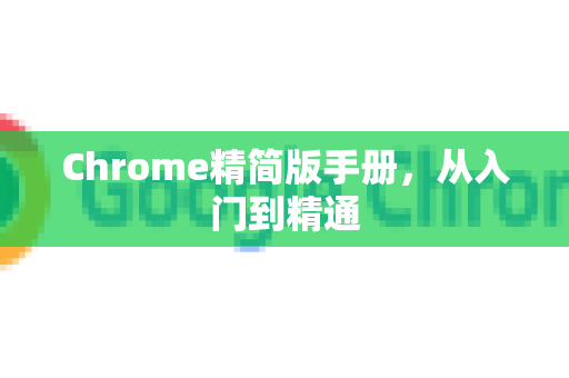 Chrome精简版手册，从入门到精通