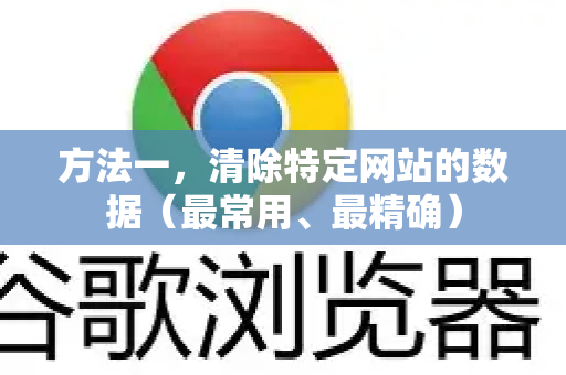 方法一，清除特定网站的数据（最常用、最精确）
