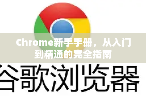 Chrome新手手册，从入门到精通的完全指南