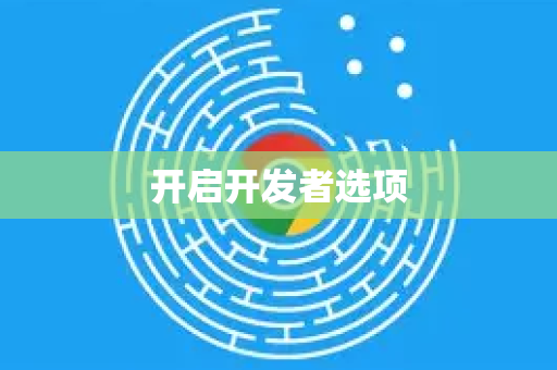 开启开发者选项-第1张图片-Chrome下载官网|Google官方浏览器下载