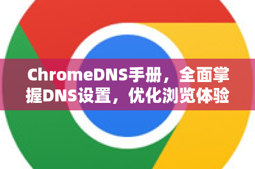 ChromeDNS手册，全面掌握DNS设置，优化浏览体验