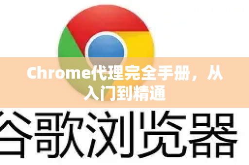 Chrome代理完全手册，从入门到精通