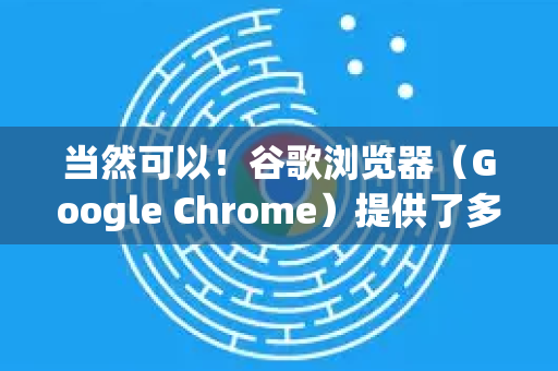 当然可以！谷歌浏览器（Google Chrome）提供了多种方式来自定义主题，从简单的官方商店安装，到深度DIY都可以实现