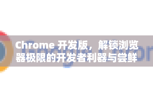 Chrome 开发版，解锁浏览器极限的开发者利器与尝鲜指南