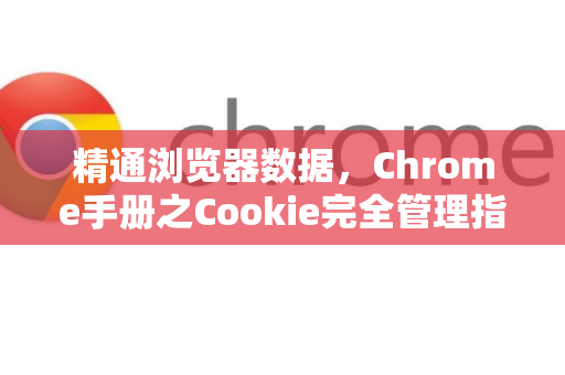 精通浏览器数据，Chrome手册之Cookie完全管理指南
