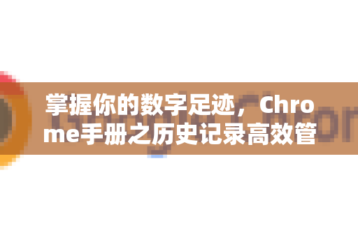 掌握你的数字足迹，Chrome手册之历史记录高效管理全攻略
