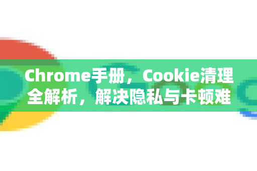 Chrome手册，Cookie清理全解析，解决隐私与卡顿难题