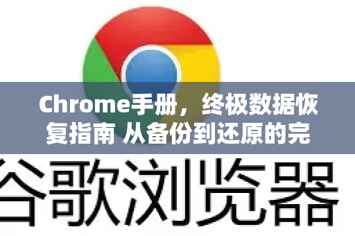 Chrome手册，终极数据恢复指南 从备份到还原的完整策略