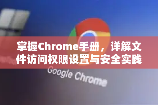 掌握Chrome手册，详解文件访问权限设置与安全实践
