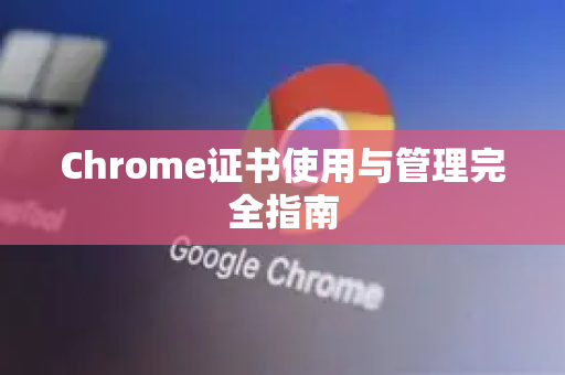 Chrome证书使用与管理完全指南-第1张图片-Chrome下载官网|Google官方浏览器下载